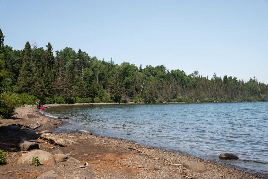 Daisy Farm Isle Royale